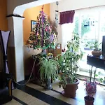 Hotel Pino